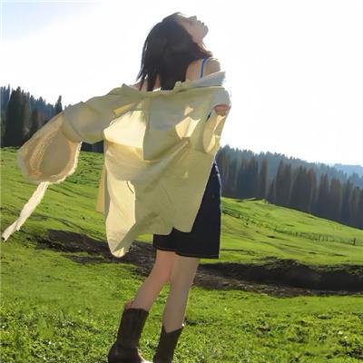 政宗君的复仇